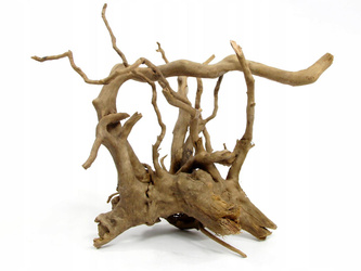 KORZEŃ RED MOOR WOOD CIEMNY 20-30cm DO TERRARIUM