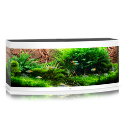 JUWEL Akwarium Vision 450 LED biały