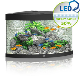 JUWEL Akwarium Trigon 190 LED czarny