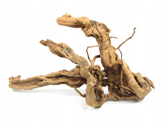 KORZEŃ RED MOOR WOOD CIEMNY 40-50cm DO TERRARIUM