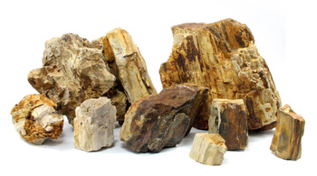 WOODEN FOSSIL STONE kamień, skała skamieniałe drewno do dekoracji akwarium - mix 15kg