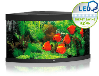 JUWEL Akwarium Trigon 350 LED czarny