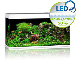 JUWEL Akwarium Rio 350 LED biały