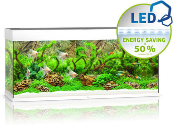 JUWEL Akwarium Rio 240 LED biały