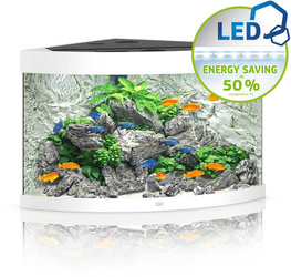 JUWEL Akwarium Trigon 190 LED biały