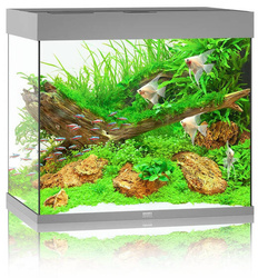 JUWEL Akwarium Lido 200 LED szary