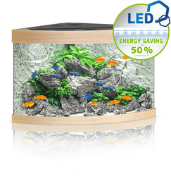 JUWEL Akwarium Trigon 190 LED jasne drewno (dąb)