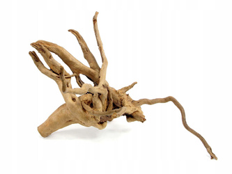 KORZEŃ RED MOOR WOOD CIEMNY 30-40cm DO TERRARIUM