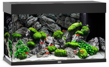 JUWEL Akwarium Rio 125 LED czarny