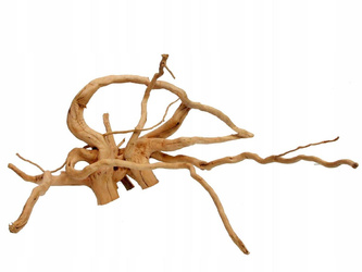 Korzeń japoński RED MOOR WOOD 30-40cm do dekoracji akwarium lub terrarium akwarium