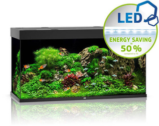 JUWEL Akwarium Rio 350 LED czarny