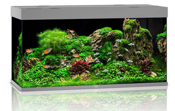 JUWEL Akwarium Rio 350 LED szary