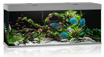 JUWEL Akwarium Rio 450 LED szary