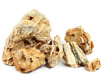 CHICKEN BONE STONE KAMIEŃ SKAŁA DO AKWARIUM 1kg