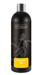 GT aqua Booster Gh 500ml mineralizator do zbiorników roślinnych (RO)