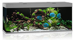 JUWEL Akwarium Rio 450 LED szary