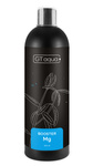 GT aqua Booster Mg 500ml nawóz magnezowy dla roślin w akwarium