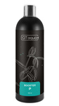 GT aqua Booster P 500ml nawóz fosforowy dla roślin w akwarium