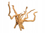 Korzeń japoński RED MOOR WOOD 20-30cm do dekoracji akwarium lub terrarium akwarium