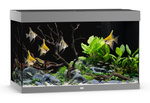 JUWEL Akwarium Rio 290 szary
